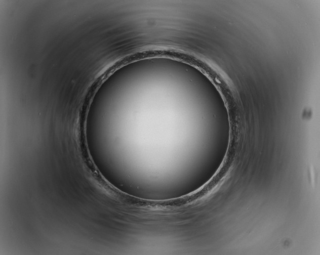 X0000103300969200808291401