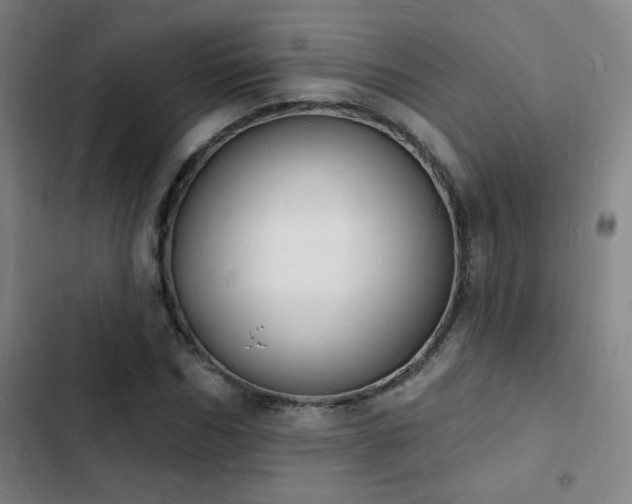 X0000103300970200808291401