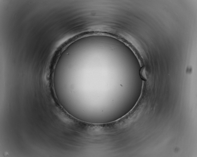 X0000103300971200808291401