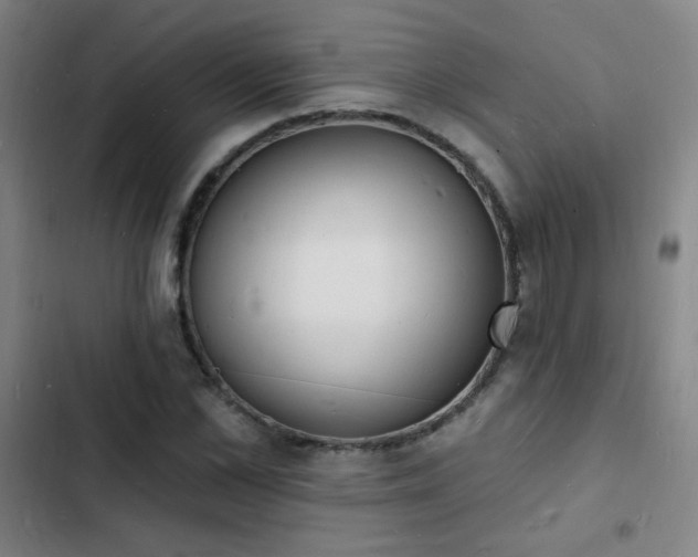 X0000103300973200808291401