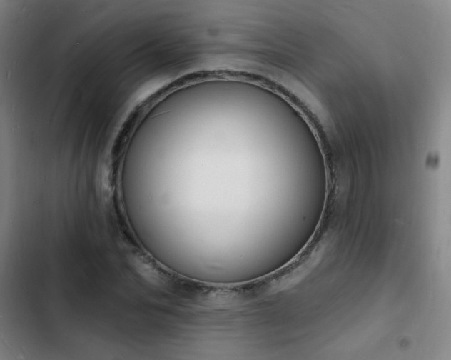 X0000103300974200808291401