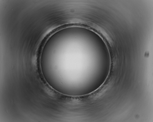 X0000103300975200808291401