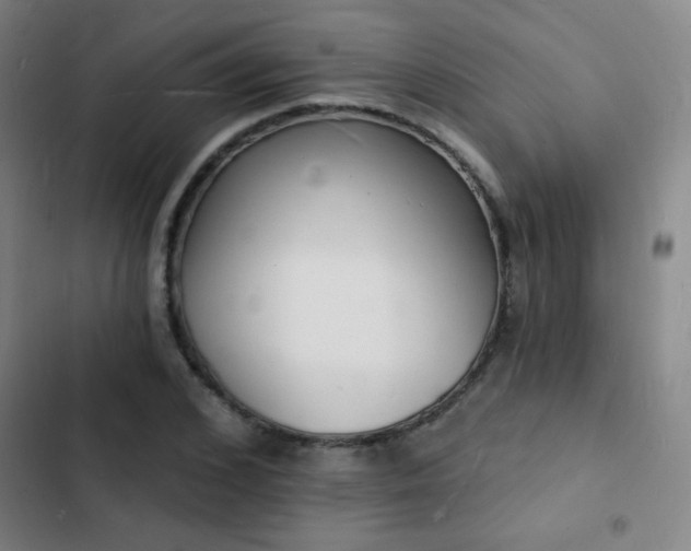 X0000103300976200808291401
