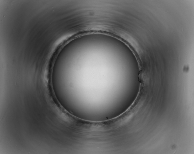 X0000103300979200808291401