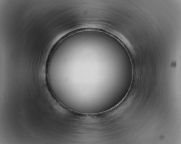 X0000103300980200808291401