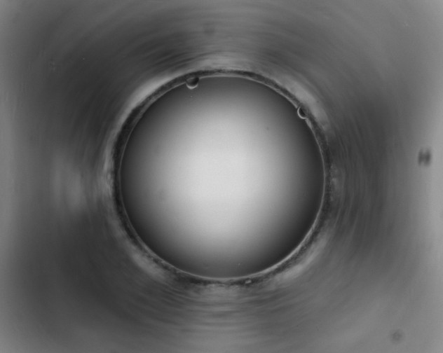 X0000103300981200808291401