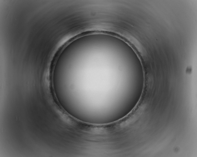 X0000103300982200808291401