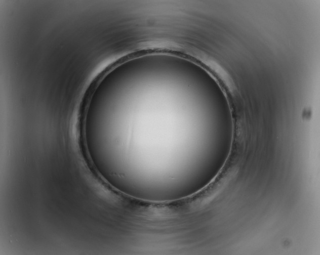 X0000103300983200808291401