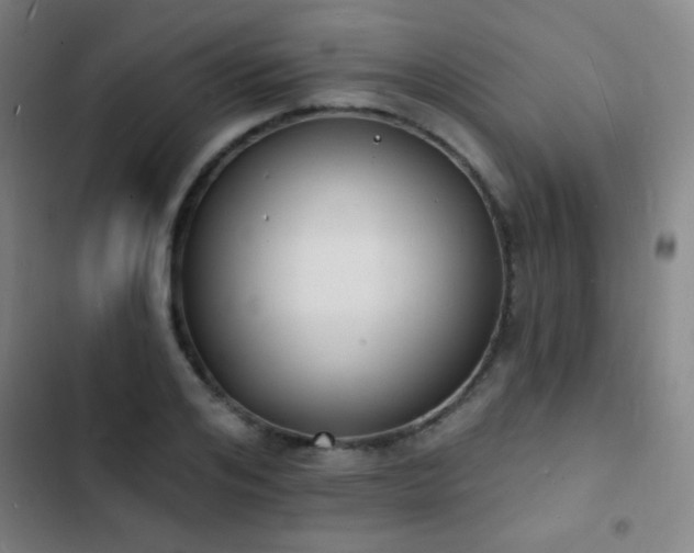 X0000103300984200808291401