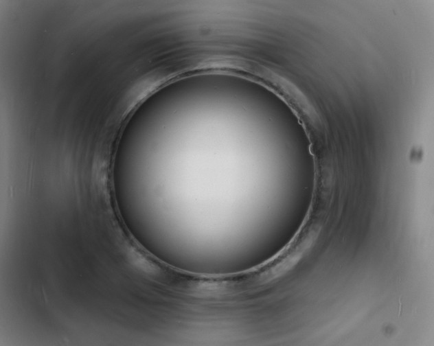 X0000103300985200808291401