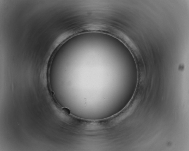 X0000103300986200808291401