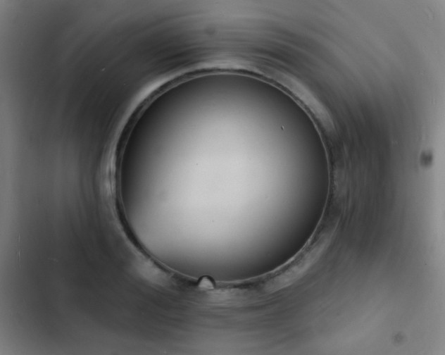 X0000103300988200808291401
