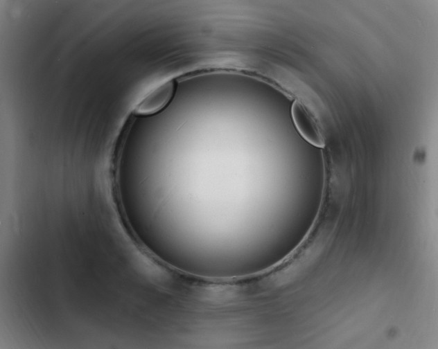X0000103300989200808291401