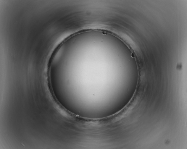 X0000103300990200808291401