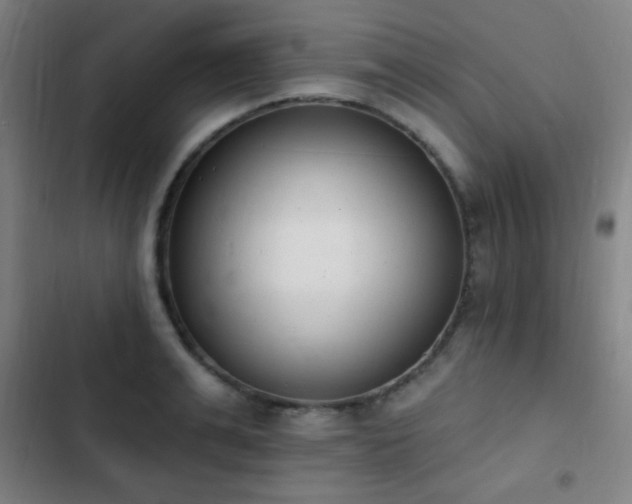X0000103300991200808291401