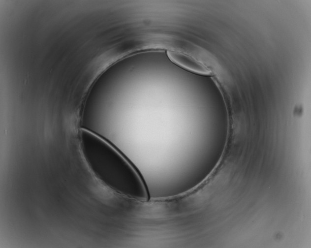X0000103300993200808291401