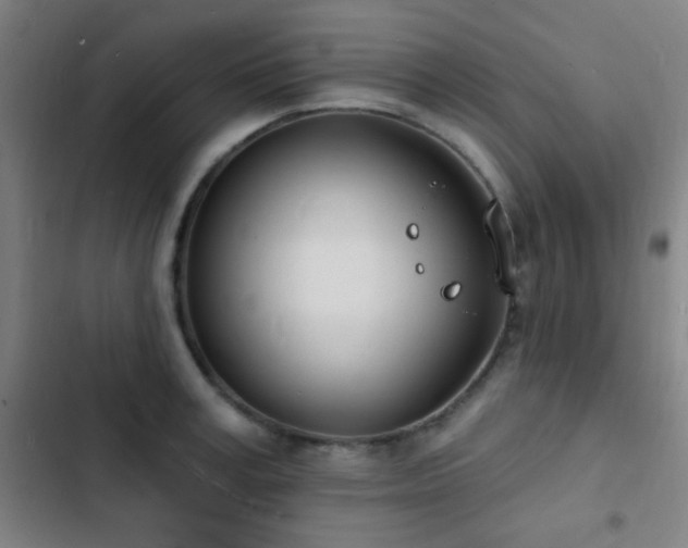 X0000103300995200808291401