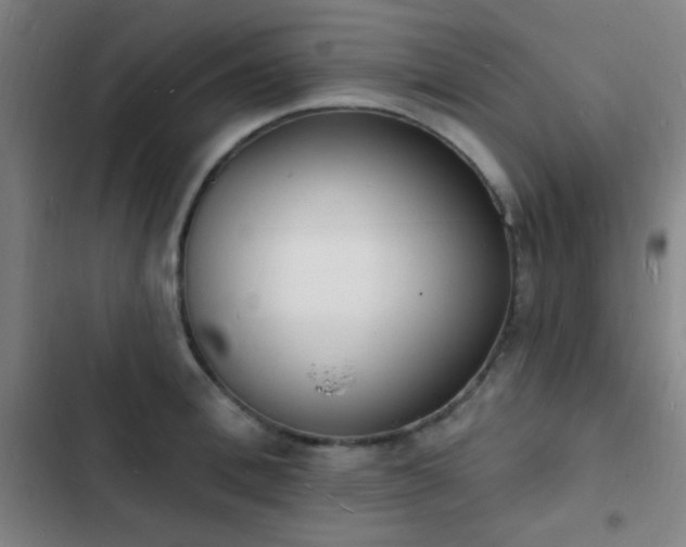 X0000103300996200808291401