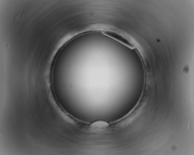 X0000103300997200808291401