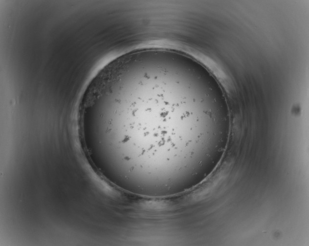 X0000103300998200808291401