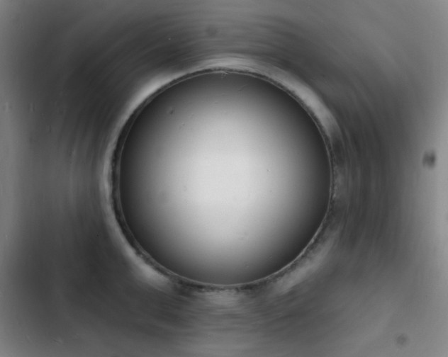 X0000103300999200808291401