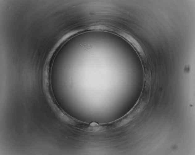 X0000103301000200808291401