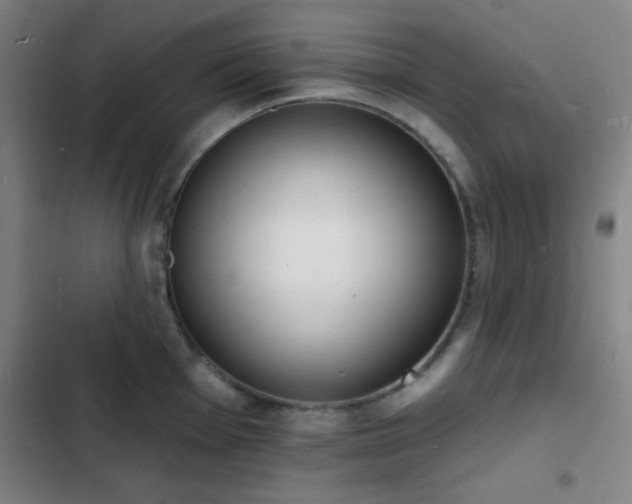 X0000103301001200808291401