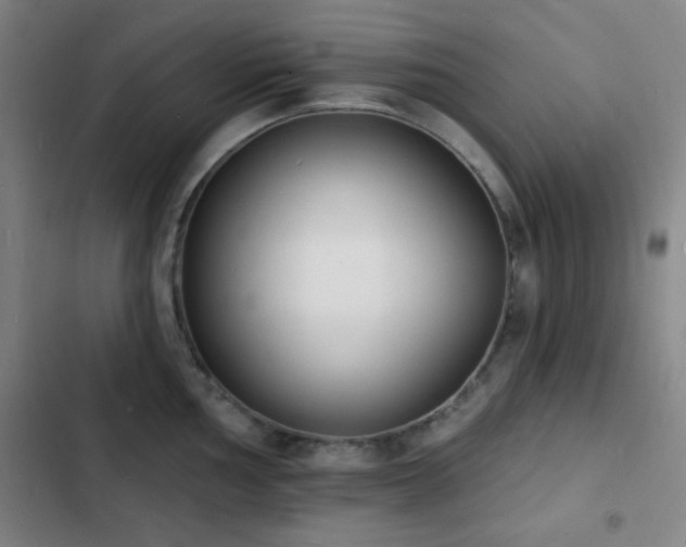 X0000103301002200808291401