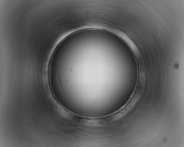 X0000103301004200808291401