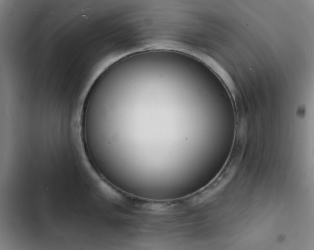 X0000103301005200808291401