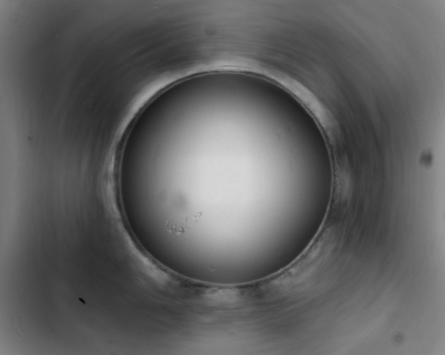 X0000103301006200808291401