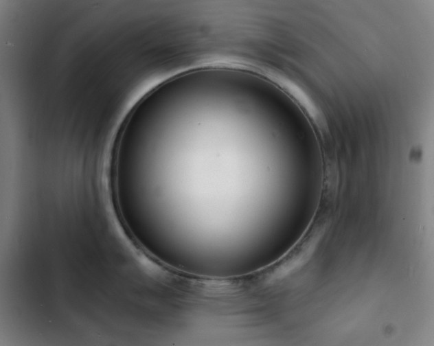 X0000103301007200808291401