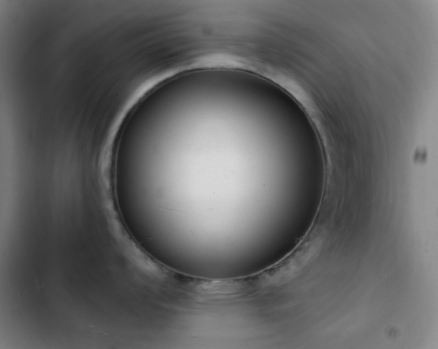 X0000103301008200808291401