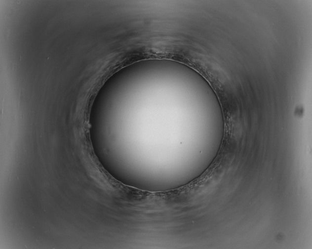 X0000103301009200808291400