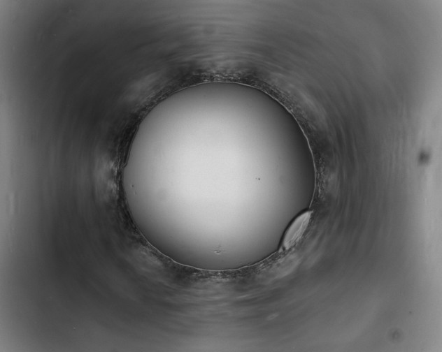 X0000103301010200808291400