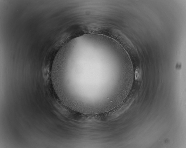 X0000103301011200808291400