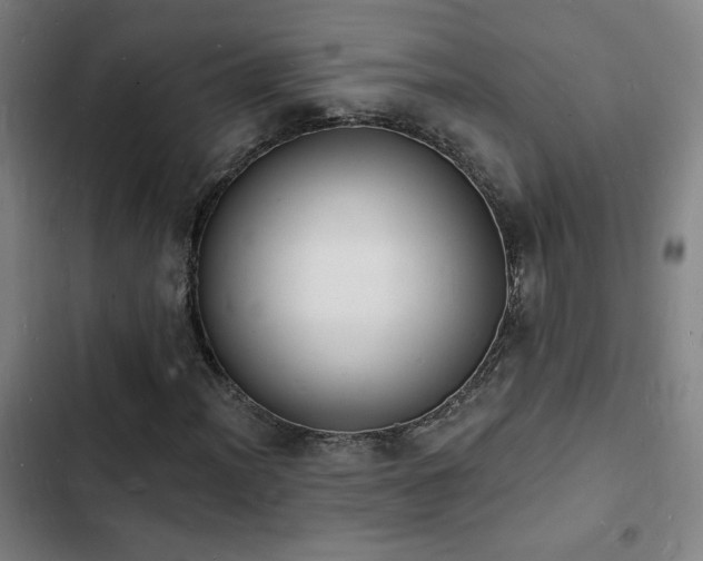 X0000103301012200808291400