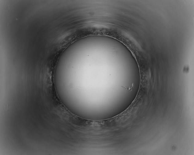 X0000103301013200808291400