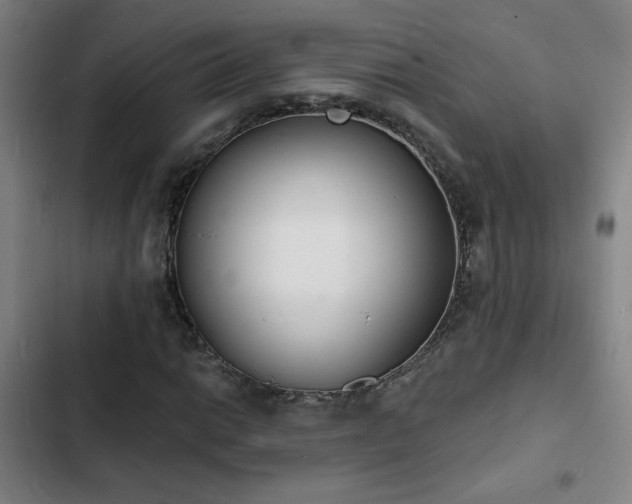 X0000103301014200808291400