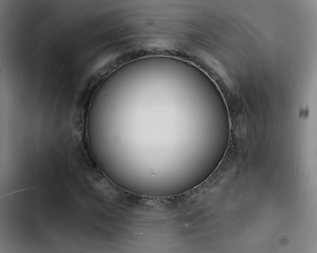 X0000103301015200808291400