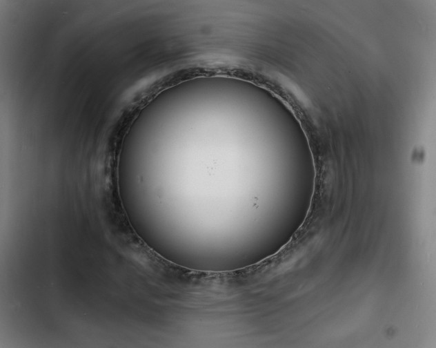 X0000103301016200808291400