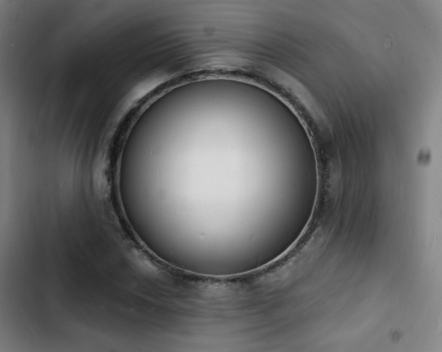 X0000103301018200808291400