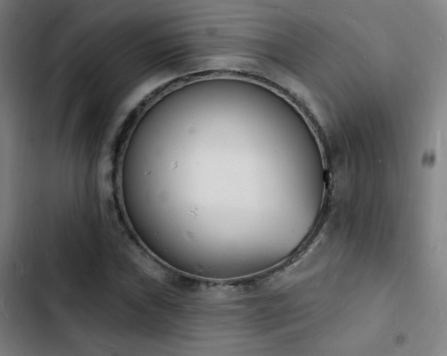 X0000103301019200808291400