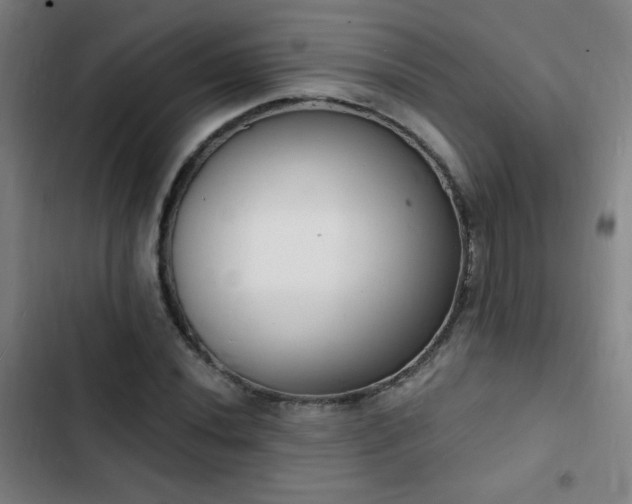 X0000103301020200808291400