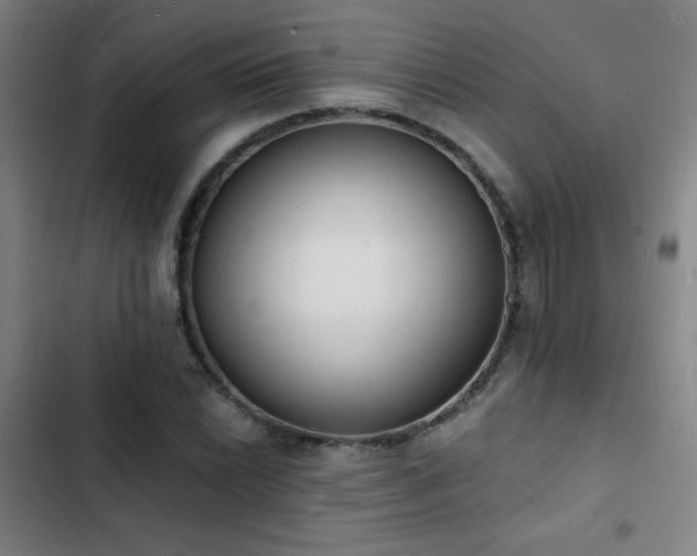 X0000103301022200808291400