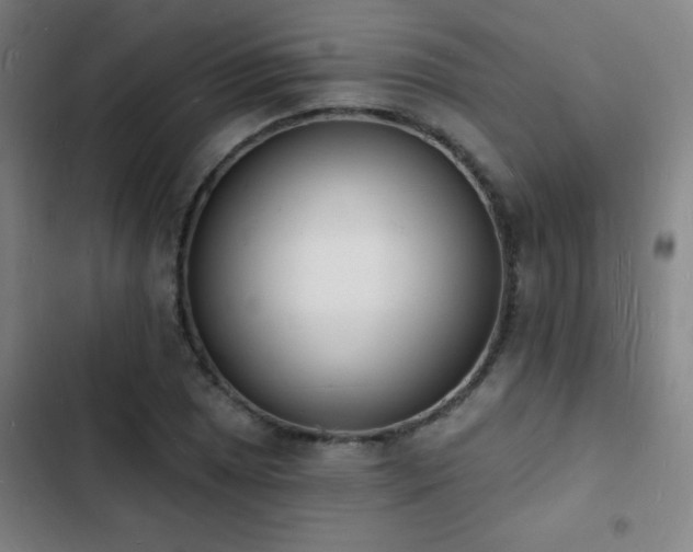 X0000103301025200808291400