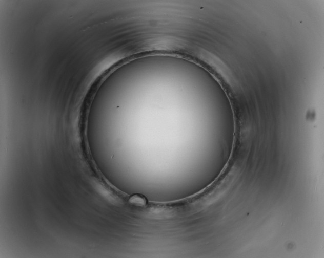 X0000103301026200808291400