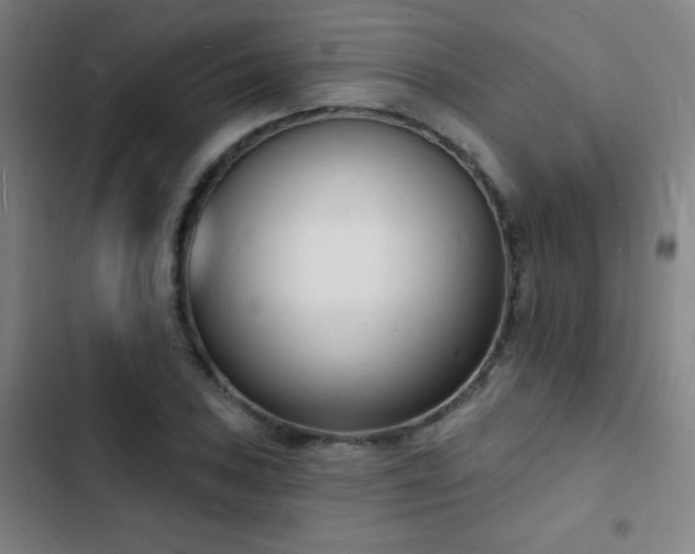 X0000103301027200808291400