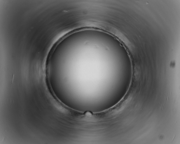 X0000103301028200808291400