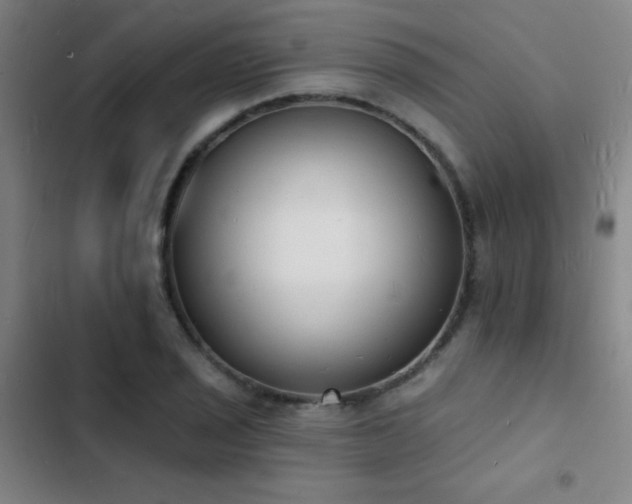 X0000103301029200808291400